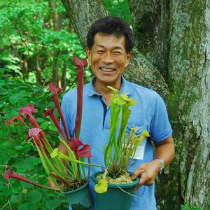 「趣味の園芸」より