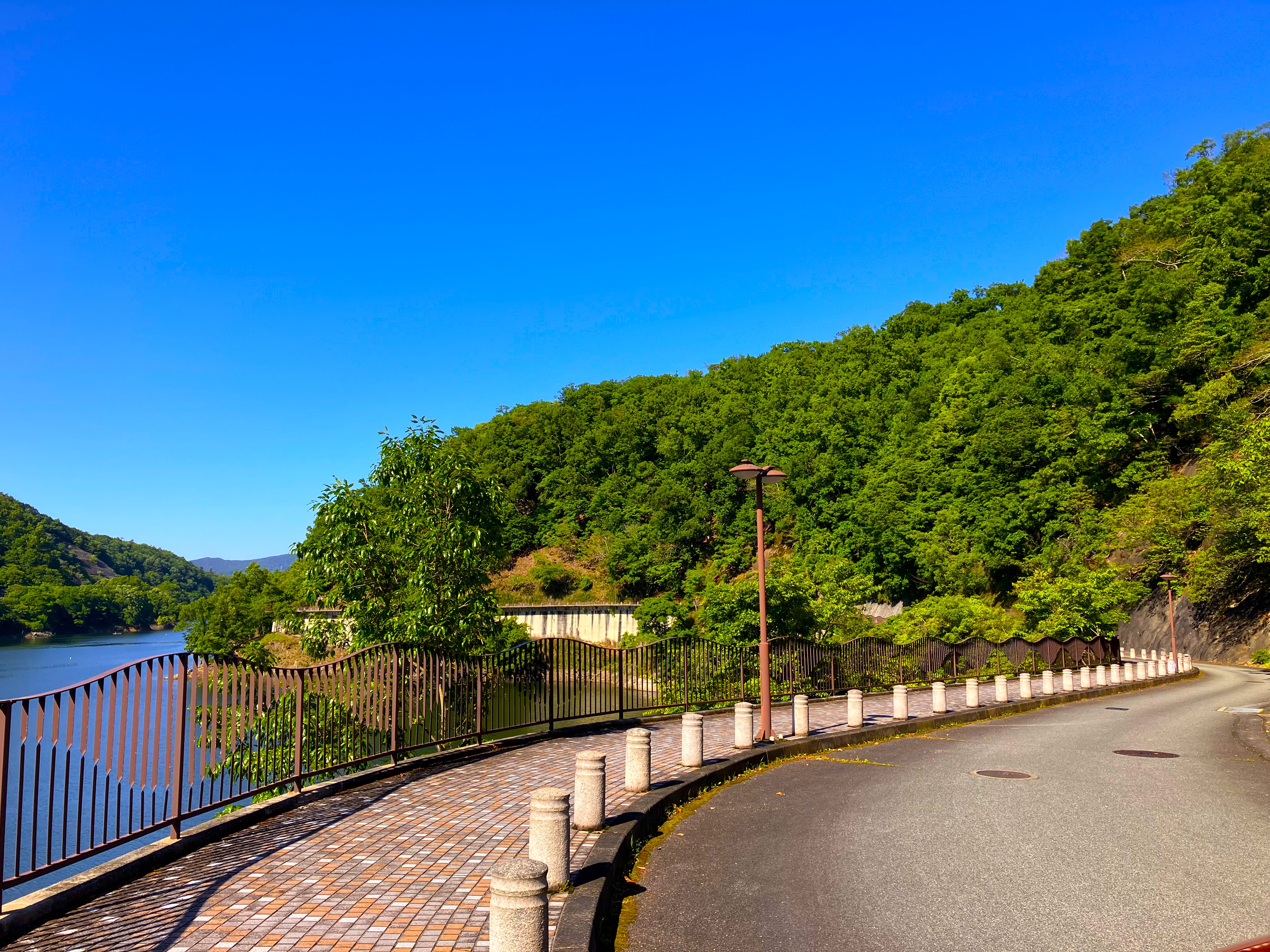 兵庫県立一庫公園 兵庫県立一庫公園