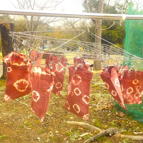 常緑樹の葉で染めた巾着