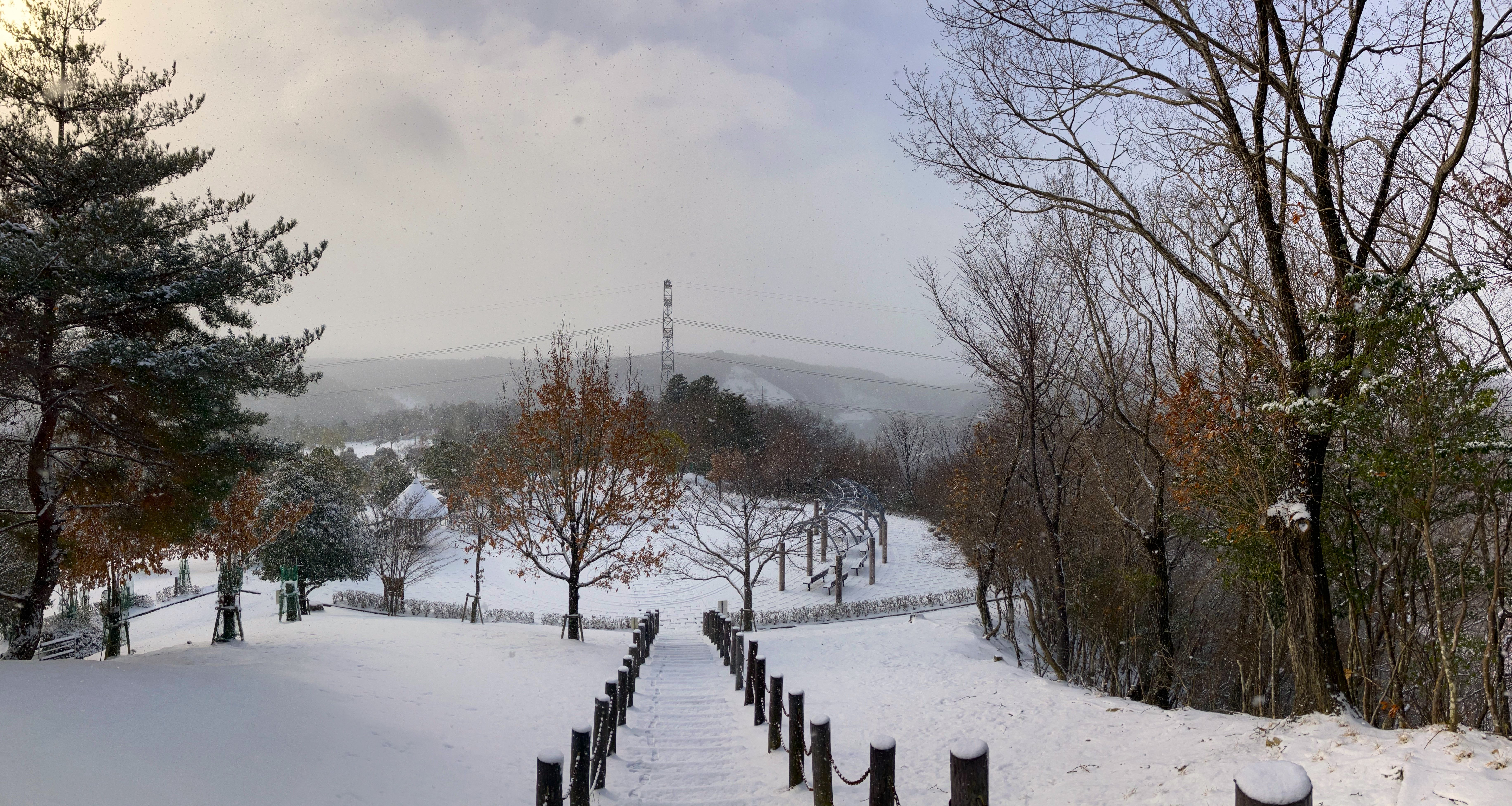 兵庫県立一庫公園
