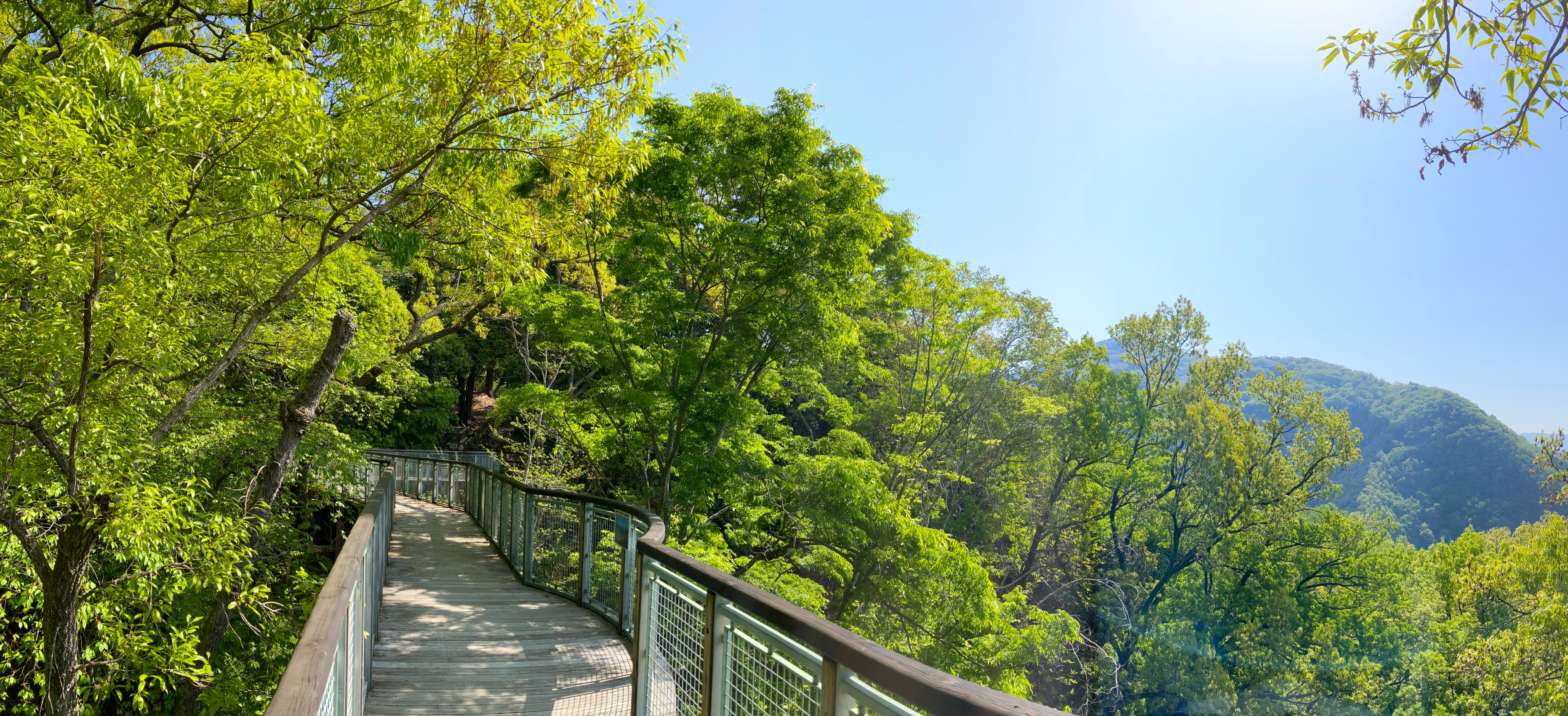 昭和38年 兵庫県[ひょうごの自然公園(汚れ多し)]瀬戸内海国立