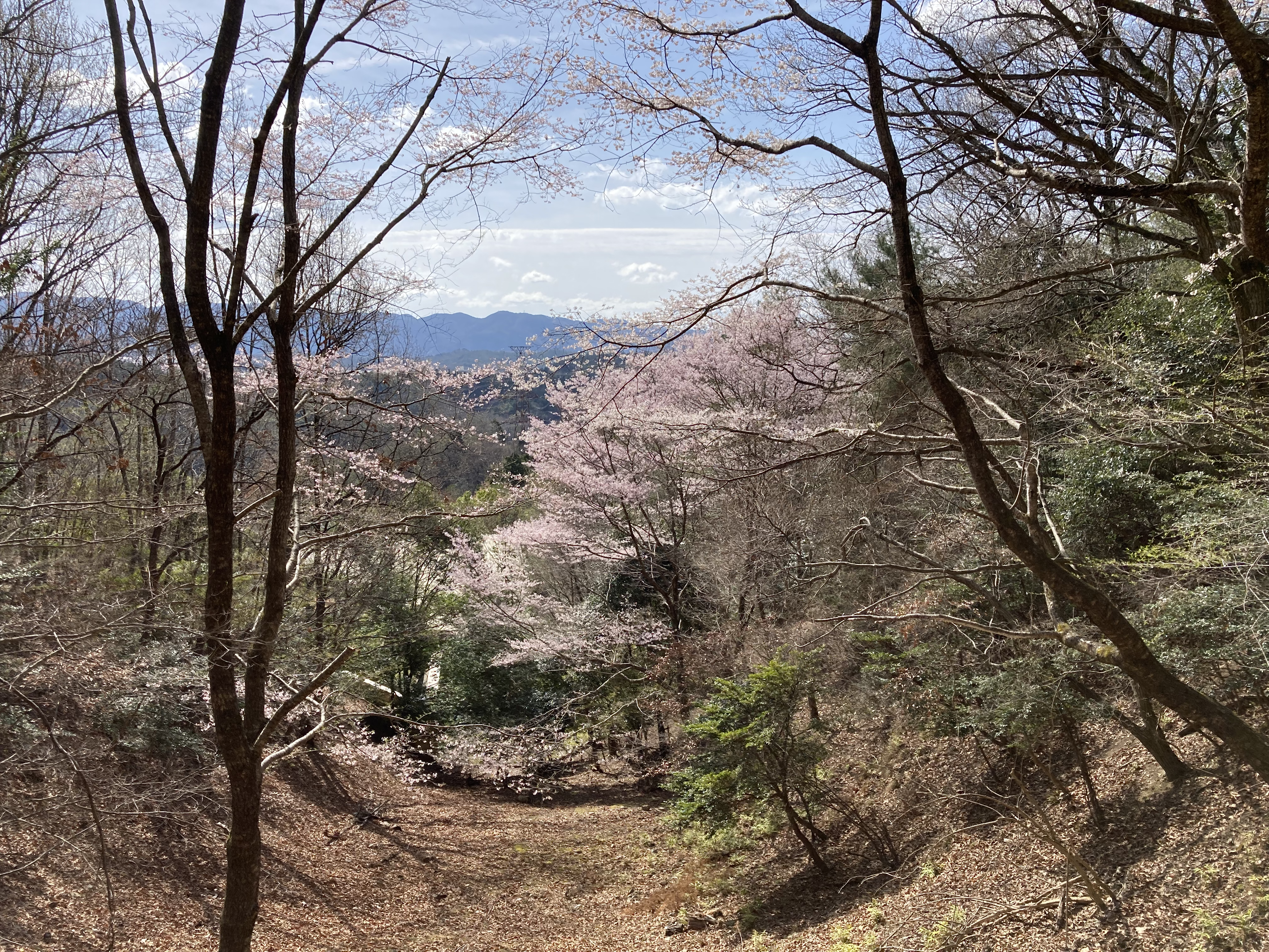 一庫炭のふるさと 背景スライド画像