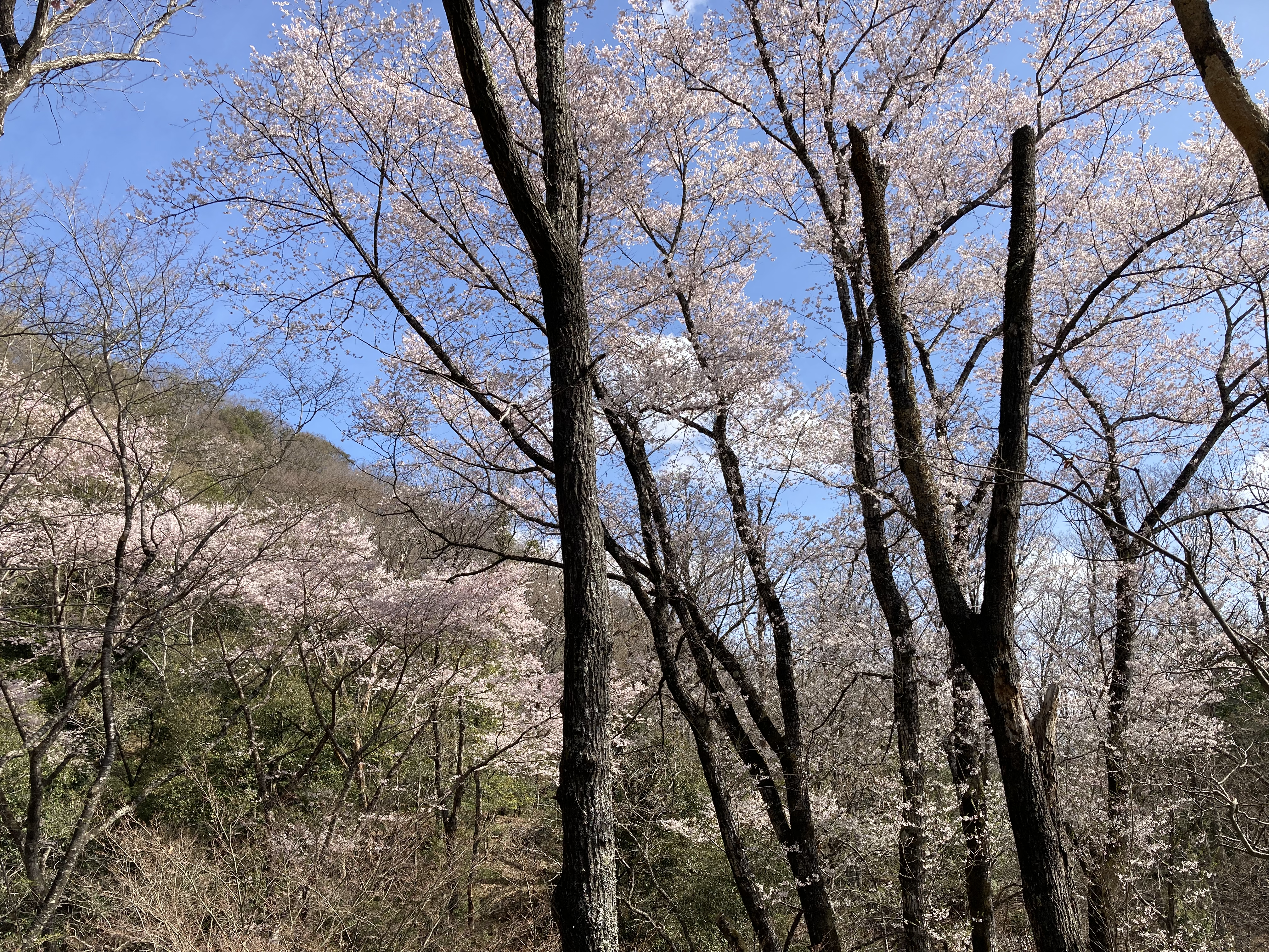 一庫炭のふるさと 背景スライド画像